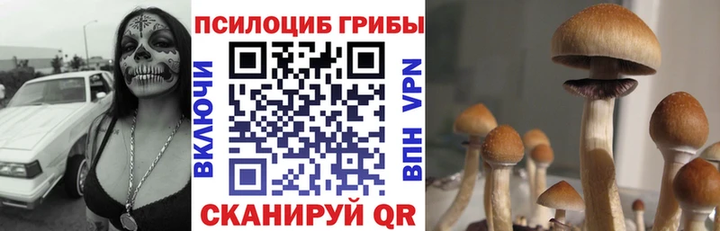 купить наркотик  Гусиноозёрск  мега рабочий сайт  Псилоцибиновые грибы ЛСД 